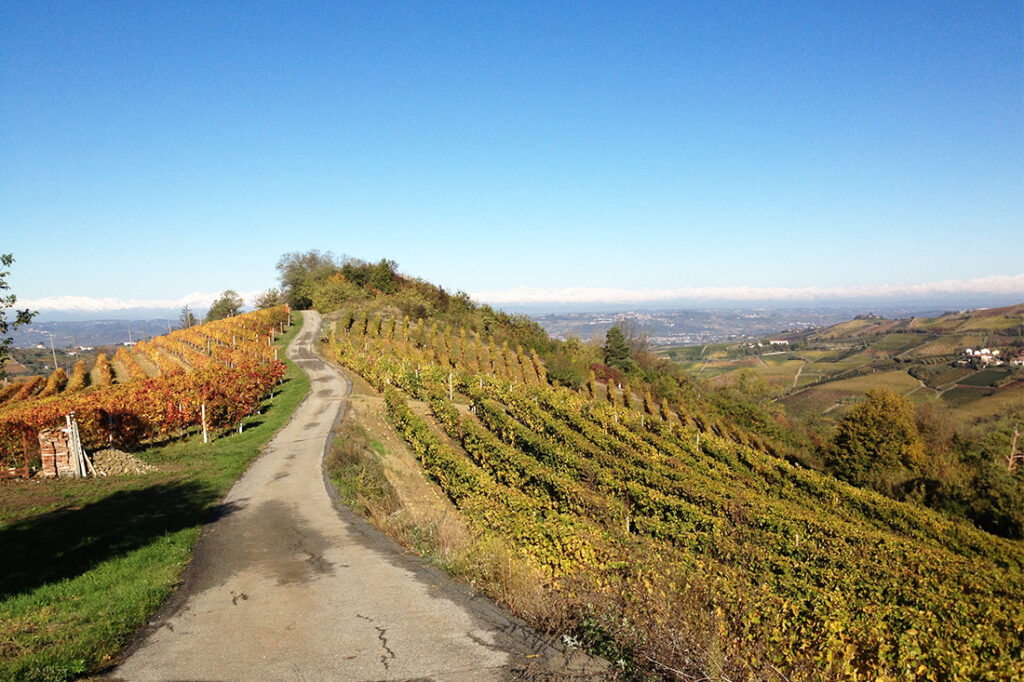 Utöver vinprovning i Uppsala arrangerar zebrawine även vinresor till vindistrikt i Italien.