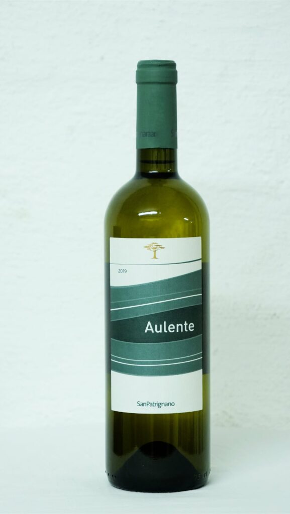 Fräscht vin från San Patrignano, provsmaka på vinprovning uppsala.